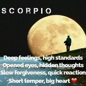 Meet your Posher, Raphael